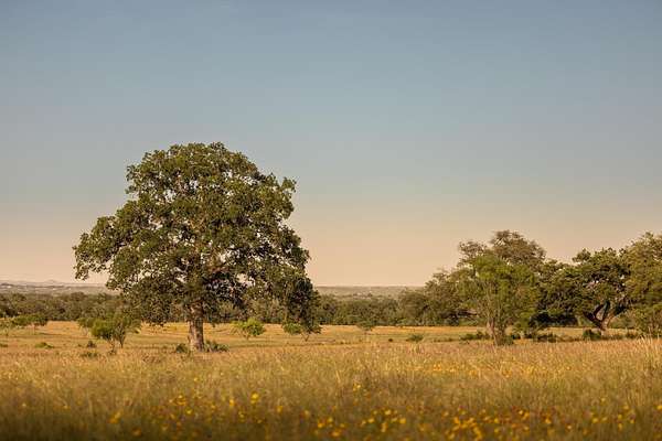 583 Acres of Agricultural Land for Sale in Johnson City, Texas