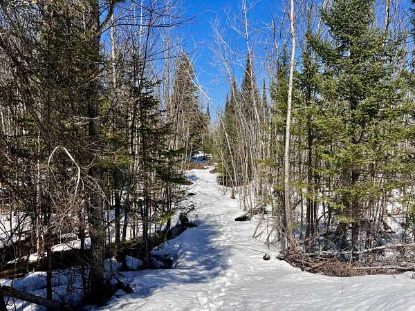 40.4 Acres of Recreational Land for Sale in Cheboygan, Michigan