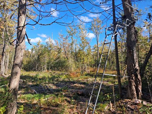 40.4 Acres of Recreational Land for Sale in Cheboygan, Michigan