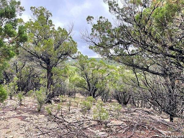 0.29 Acres of Residential Land for Sale in Bandera, Texas