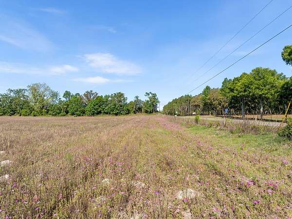 20 Acres of Agricultural & Residential Land for Sale in Trenton, Florida