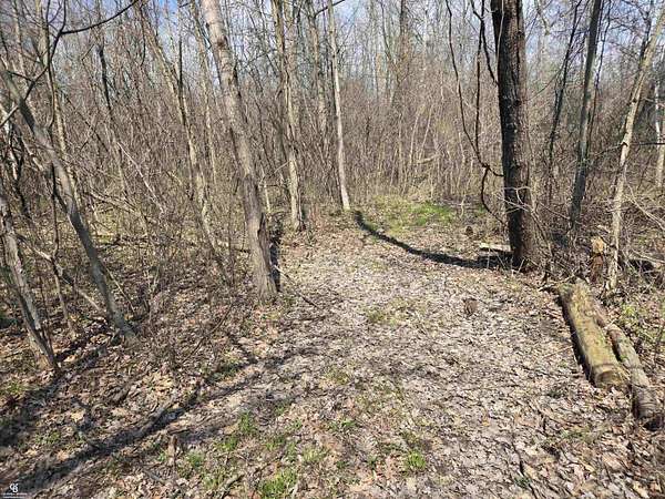 3.78 Acres of Residential Land for Sale in Smiths Creek, Michigan