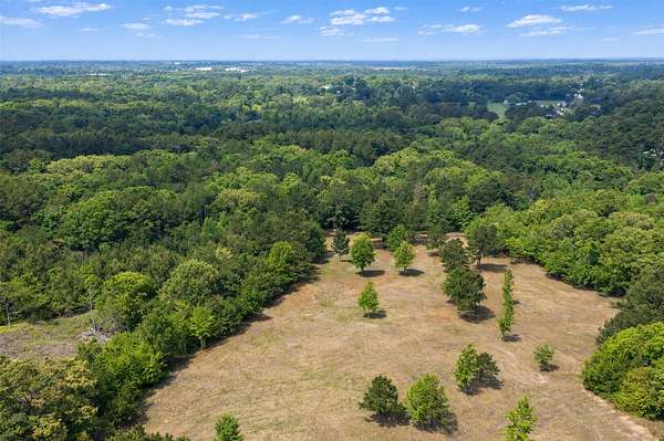 54 Acres of Land for Sale in Tyler, Texas