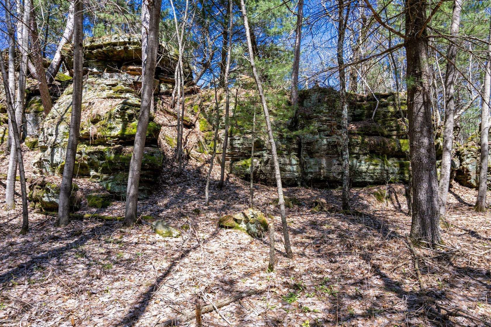 30.7 Acres of Recreational Land for Sale in Grand Marsh, Wisconsin