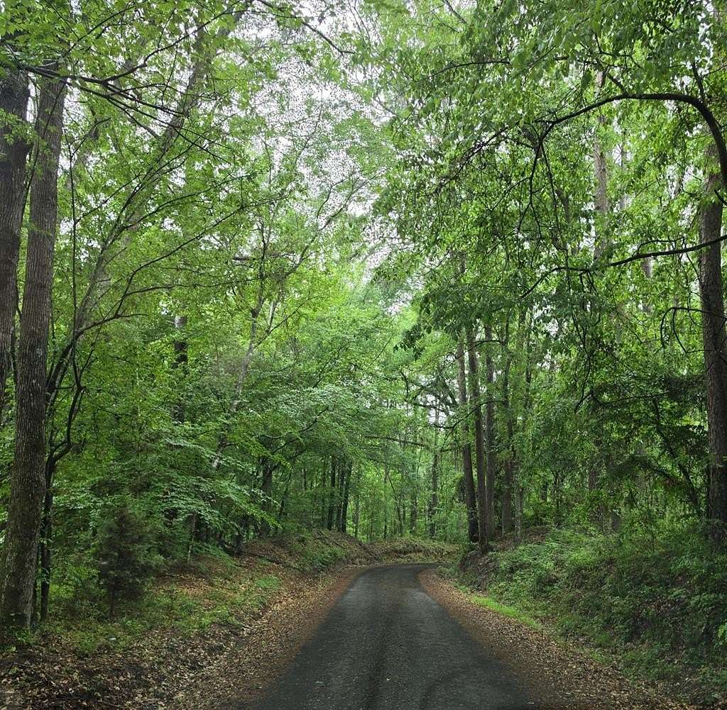 16.5 Acres of Recreational & Residential Land for Sale in San Augustine, Texas