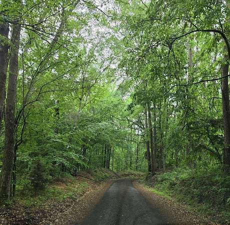 16.5 Acres of Recreational & Residential Land for Sale in San Augustine, Texas