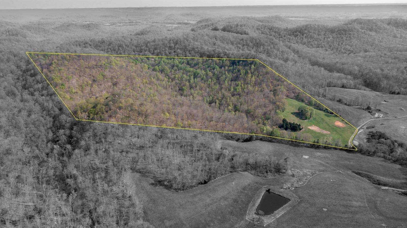 41.5 Acres of Recreational Land for Sale in Lebanon, Kentucky
