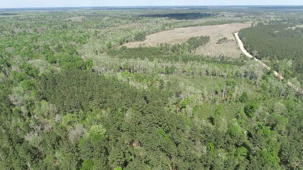 69 Acres of Recreational Land for Sale in Merryville, Louisiana