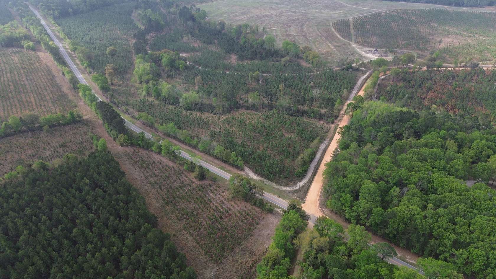 28 Acres of Land for Sale in Sylvania, Georgia