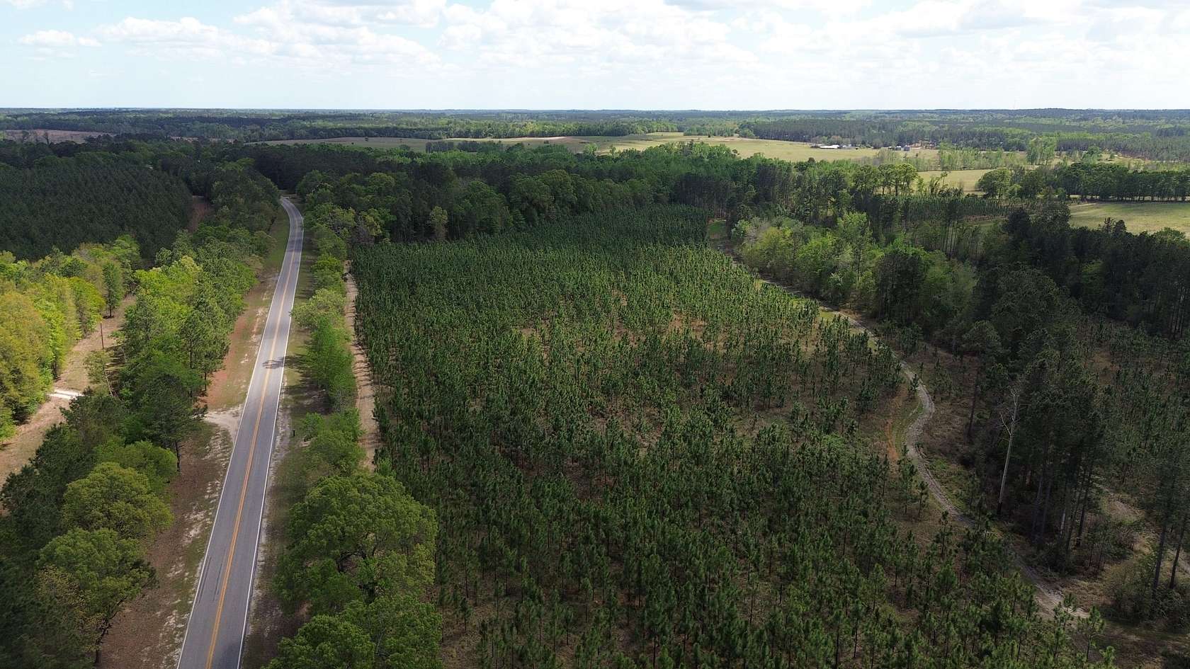 28 Acres of Recreational Land for Sale in Sylvania, Georgia