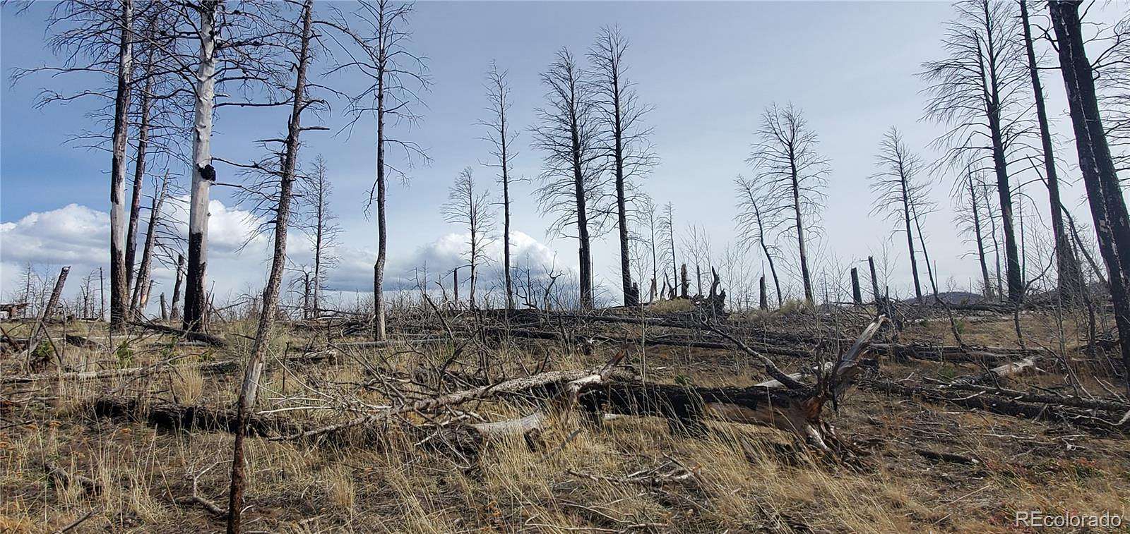 1.9 Acres of Residential Land for Sale in Fort Garland, Colorado