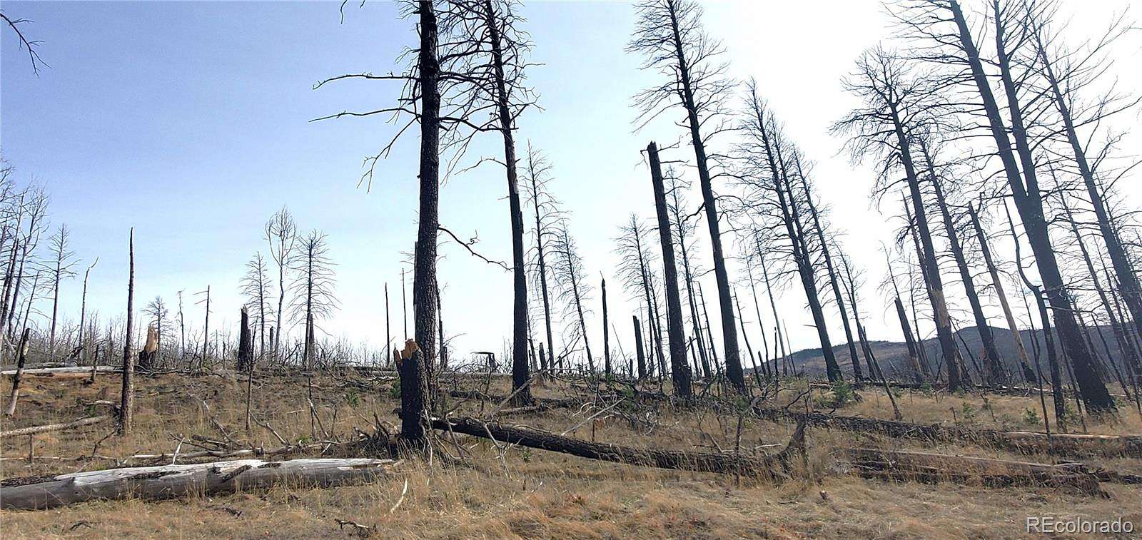 1.63 Acres of Residential Land for Sale in Fort Garland, Colorado