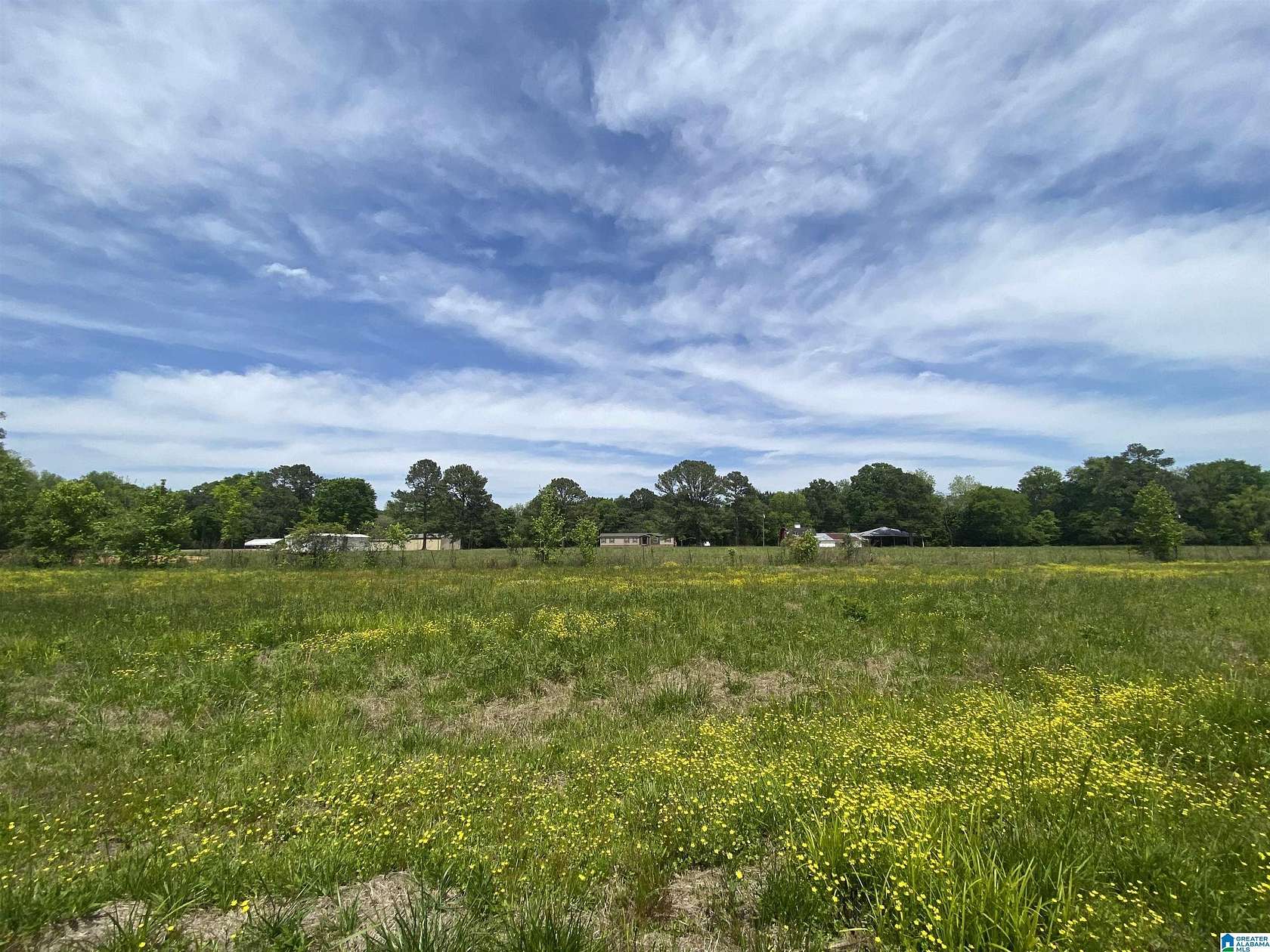 11.1 Acres of Land with Home for Sale in Columbiana, Alabama