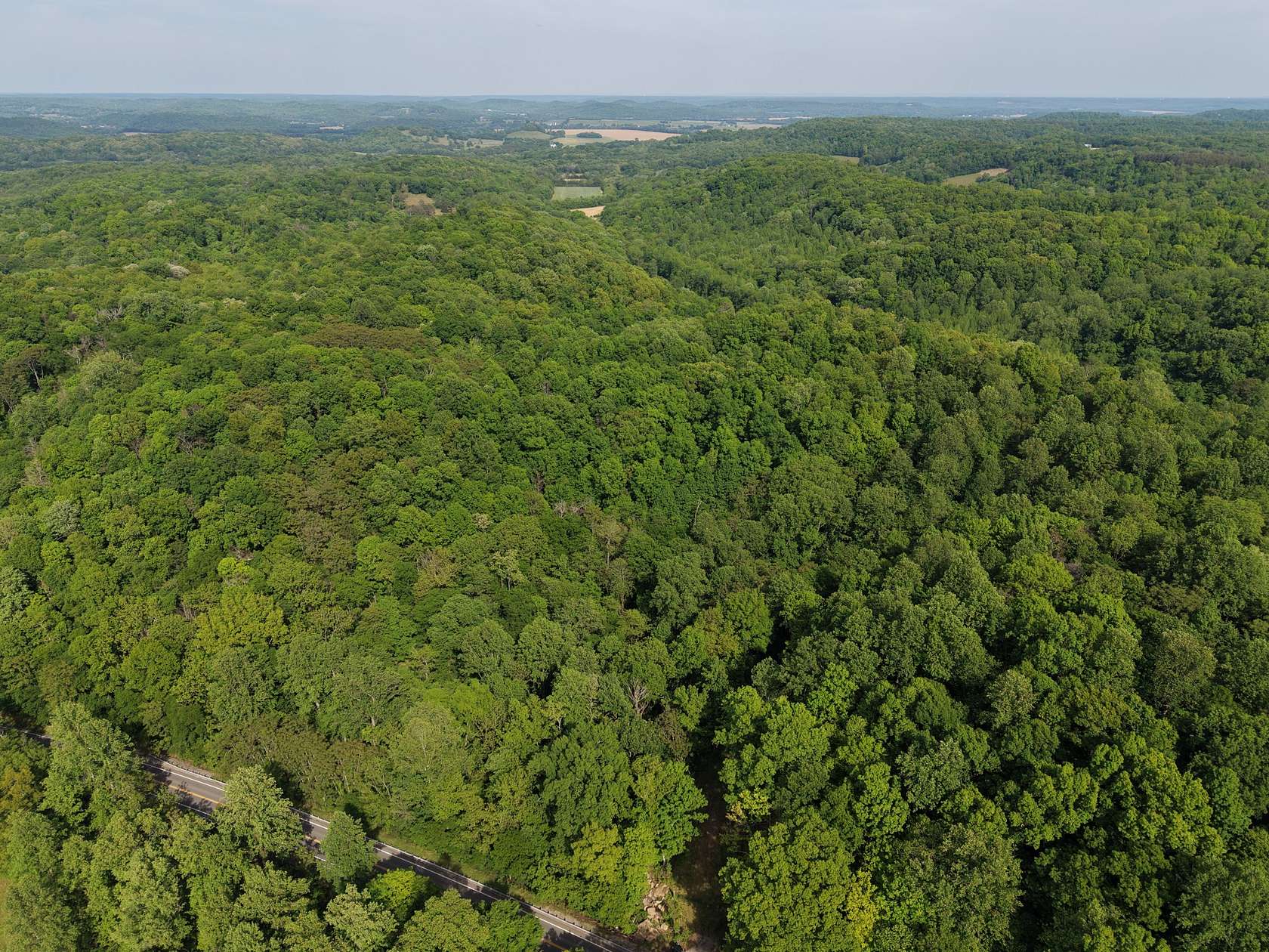 46.1 Acres of Land for Sale in Pulaski, Tennessee