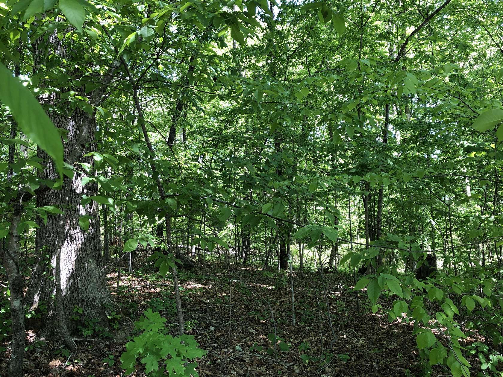 0.9 Acres of Residential Land for Sale in Lawrenceburg, Tennessee