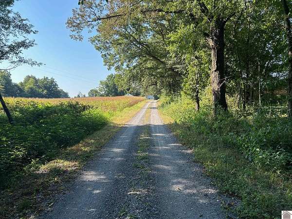 31 Acres of Land for Sale in Murray, Kentucky