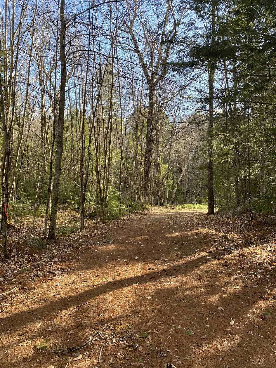 5.28 Acres of Land for Sale in Windsor Town, New Hampshire