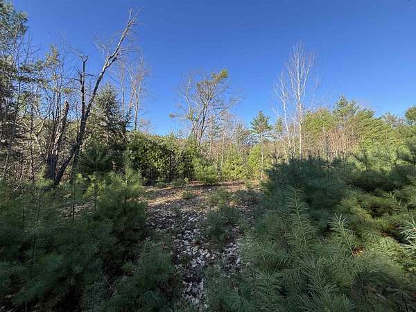 4 Acres of Residential Land for Sale in Andover, Vermont