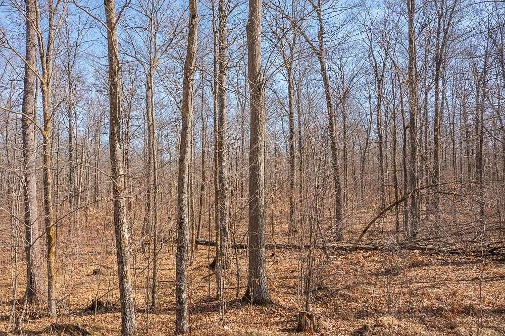 80 Acres of Recreational Land for Sale in Isle, Minnesota