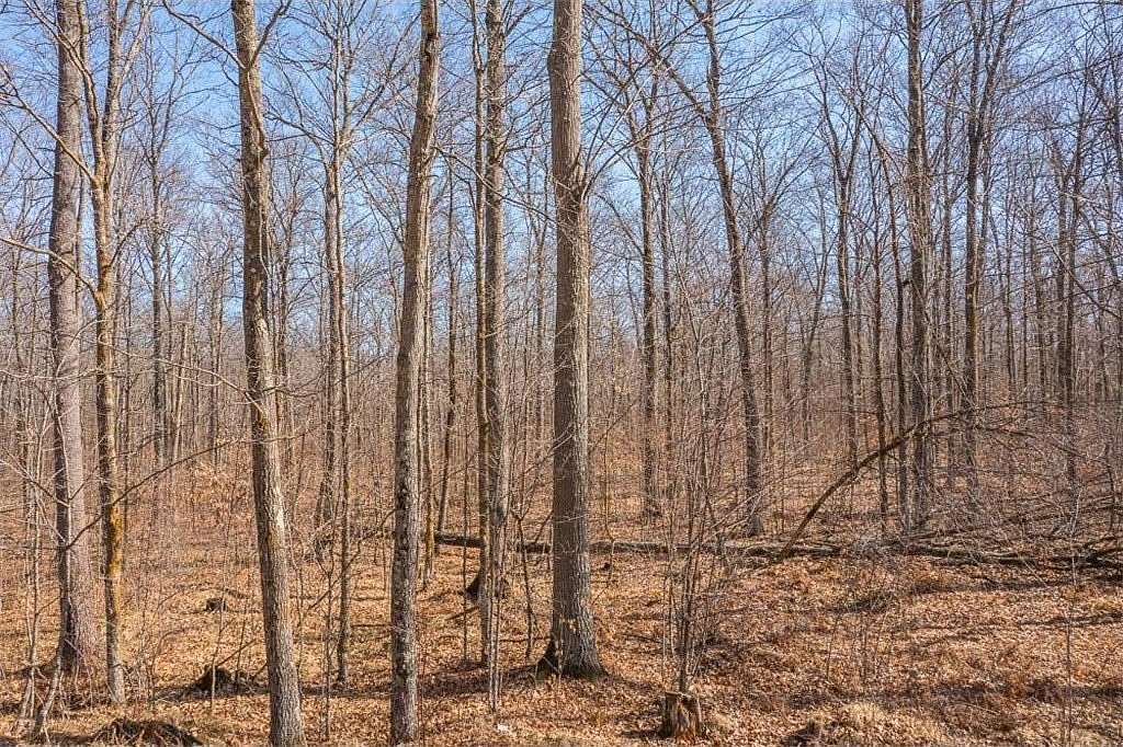 80 Acres of Recreational Land for Sale in Seavey Township, Minnesota