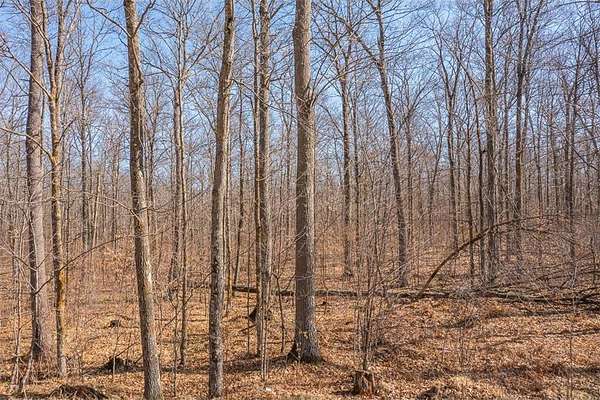 80 Acres of Recreational Land for Sale in Seavey Township, Minnesota