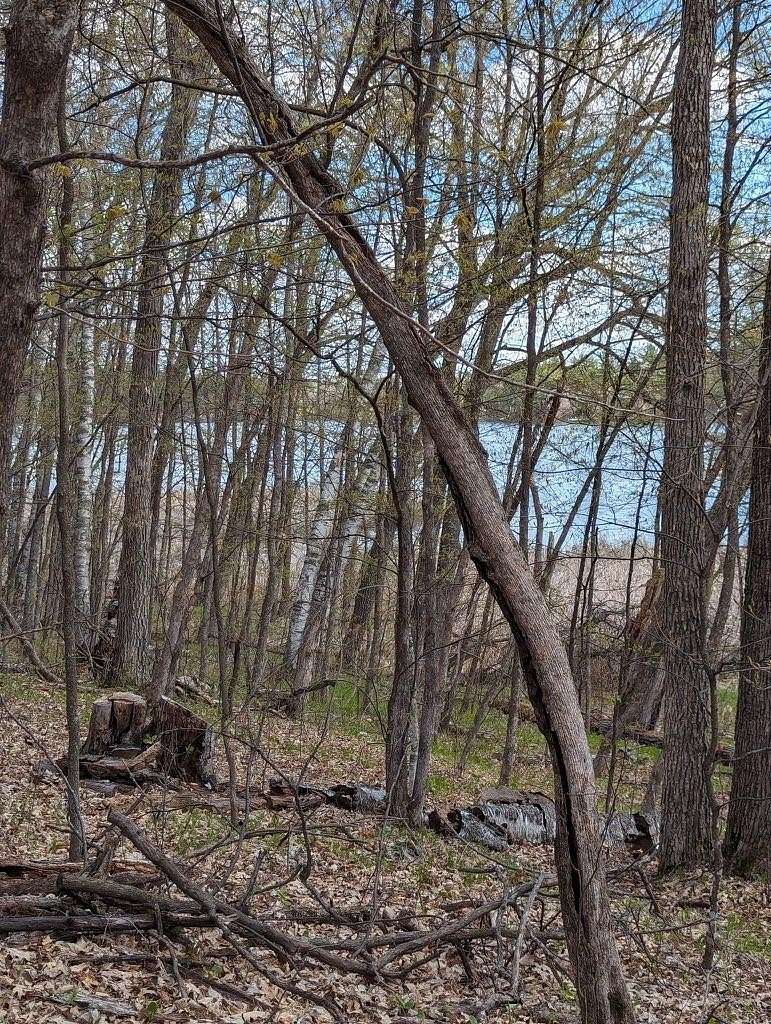0.44 Acres of Land for Sale in Browerville, Minnesota