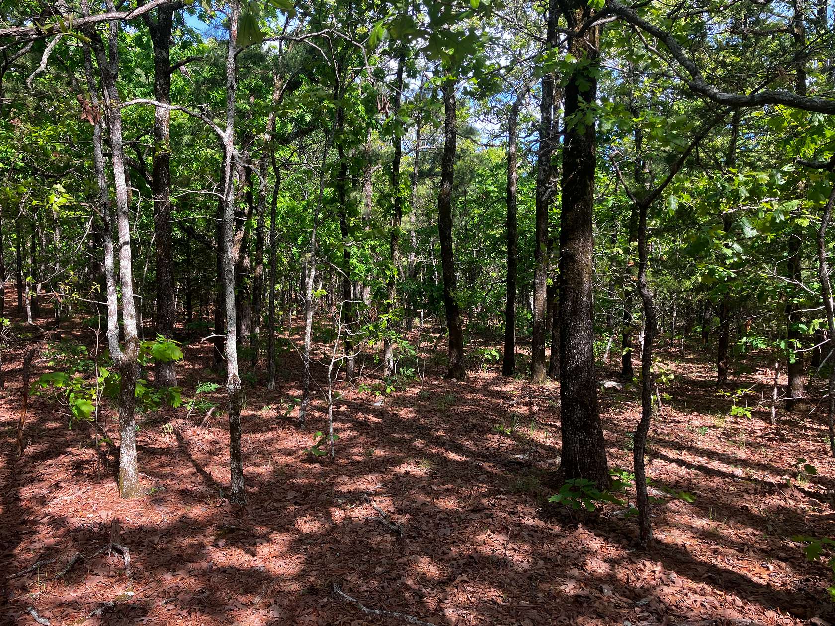 40 Acres of Land for Sale in Wister, Oklahoma