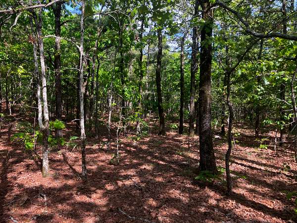 40 Acres of Land for Sale in Wister, Oklahoma