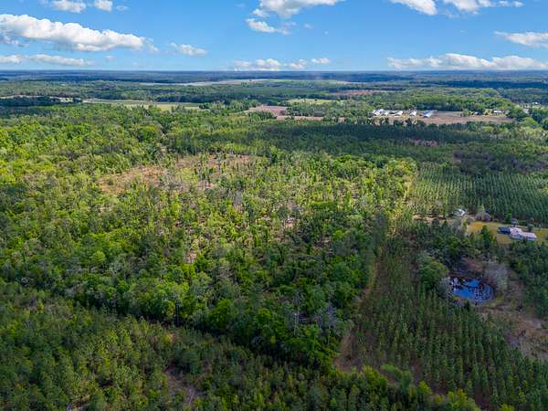 17.3 Acres of Land for Sale in Live Oak, Florida