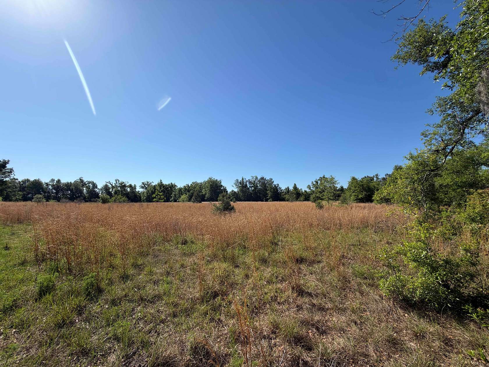 40.3 Acres of Land for Sale in Live Oak, Florida