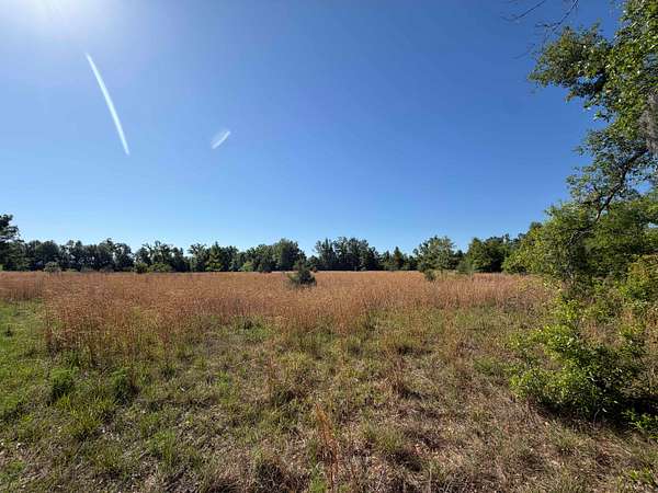 40.3 Acres of Land for Sale in Live Oak, Florida