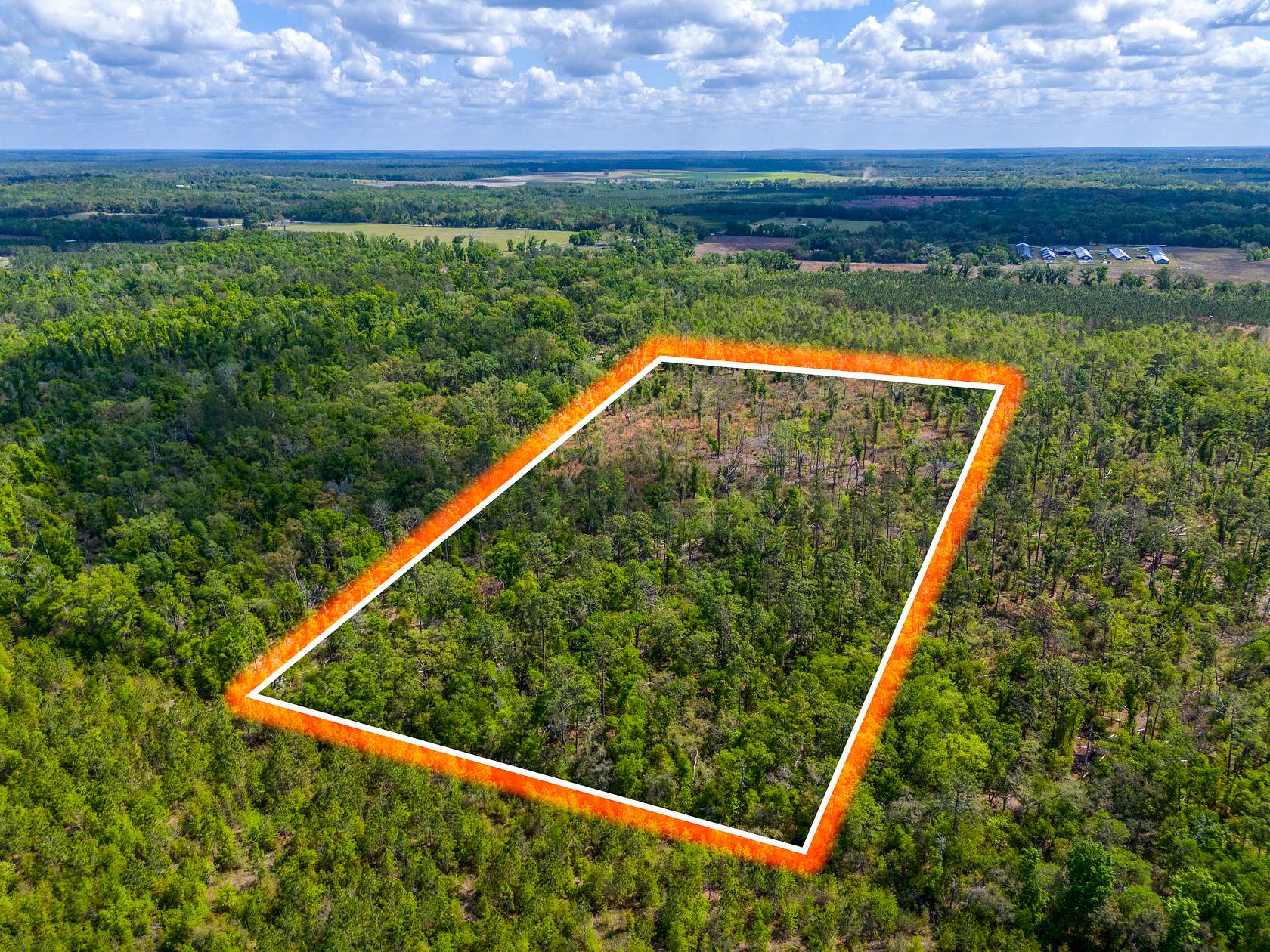 17.3 Acres of Land for Sale in Live Oak, Florida