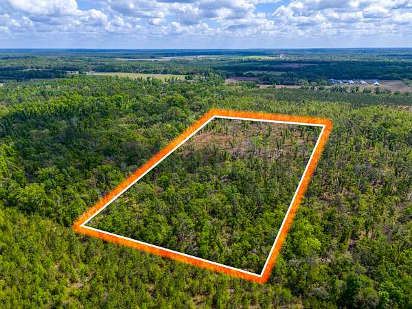 17.3 Acres of Land for Sale in Live Oak, Florida