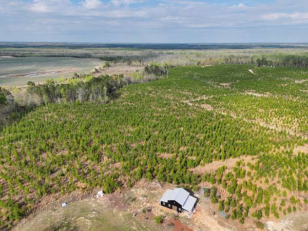 36.6 Acres of Land for Sale in Barnwell, South Carolina