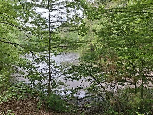 0.81 Acres of Residential Land for Sale in Trenton, South Carolina