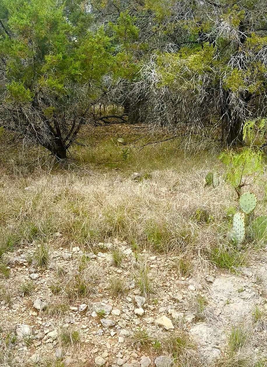 0.23 Acres of Residential Land for Sale in Leander, Texas