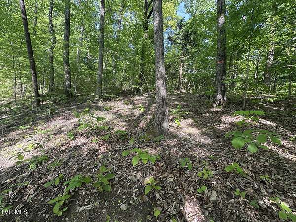 1 Acre of Residential Land for Sale in Cosby, Tennessee