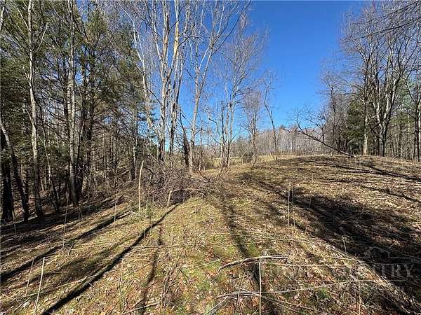 4 Acres of Land for Sale in Warrensville, North Carolina