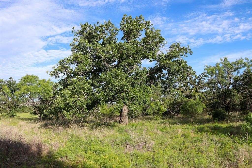 5 Acres of Land for Sale in Kingsland, Texas