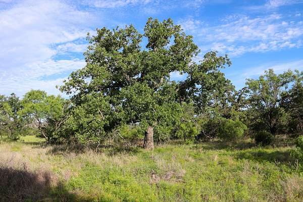 5 Acres of Residential Land for Sale in Kingsland, Texas