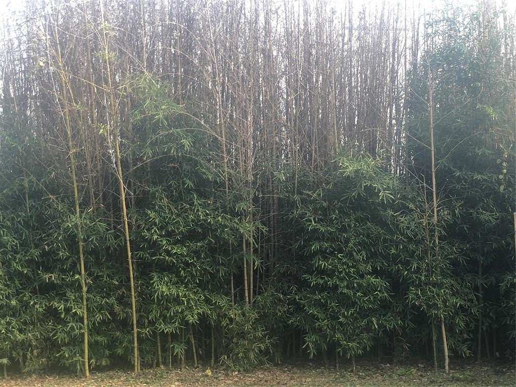 0.28 Acres of Residential Land for Sale in Horseshoe Bay, Texas