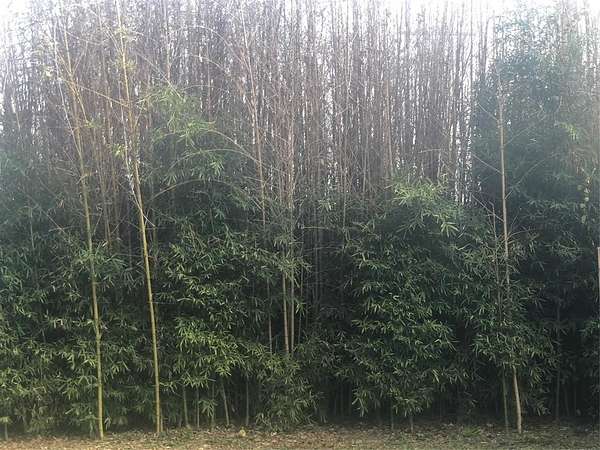 0.28 Acres of Residential Land for Sale in Horseshoe Bay, Texas