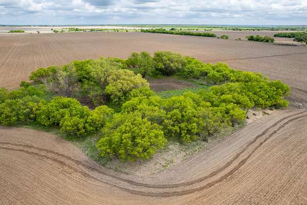 249 Acres of Agricultural Land for Sale in Coleman, Texas
