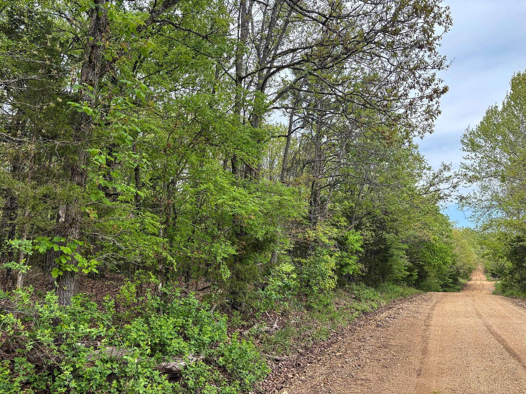 180 Acres of Recreational & Residential Land for Sale in Wasola, Missouri