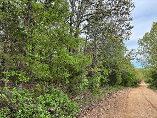 180 Acres of Recreational & Residential Land for Sale in Wasola, Missouri