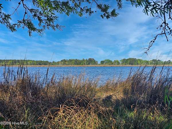 0.99 Acres of Residential Land for Sale in Pinetown, North Carolina