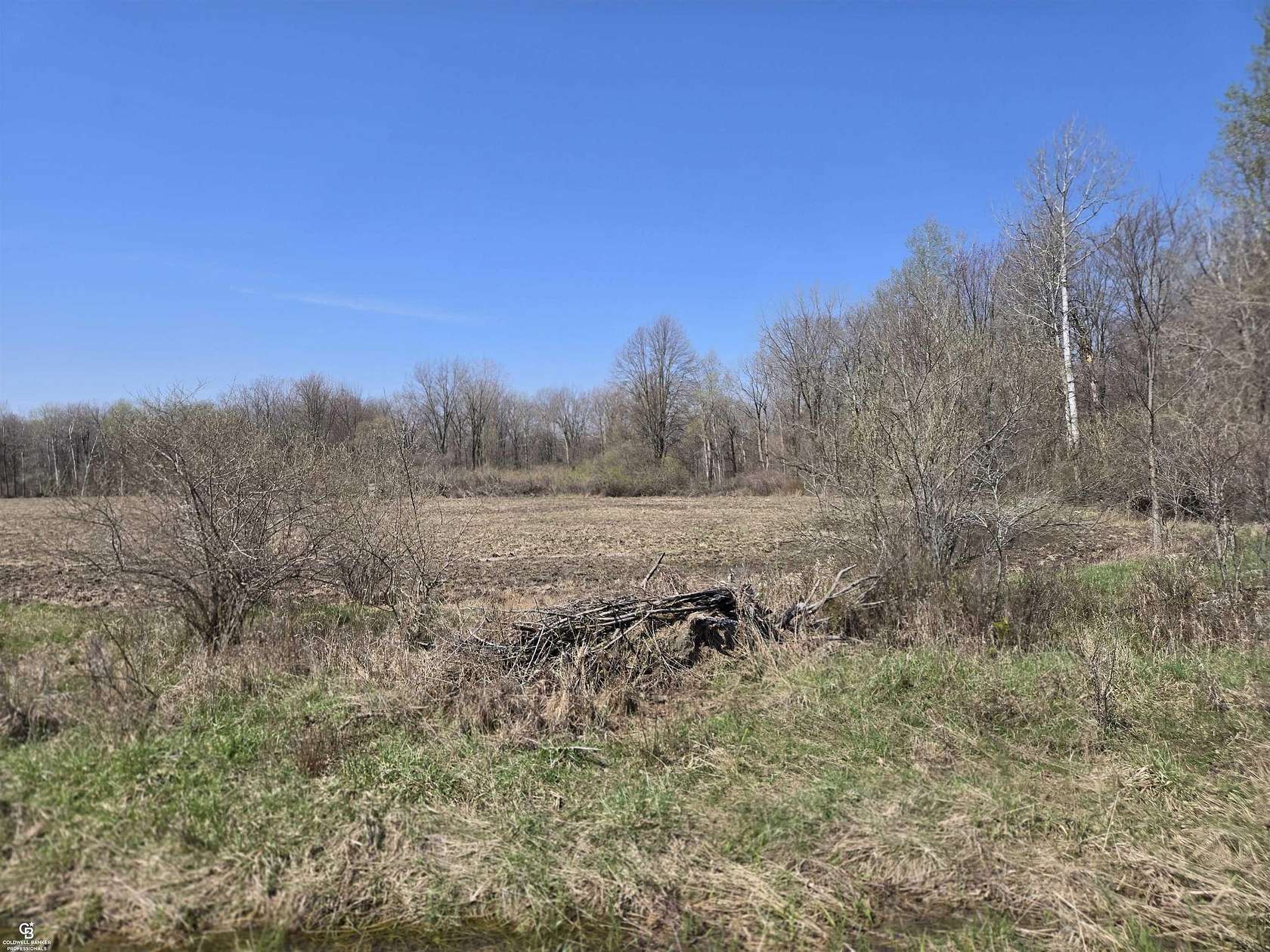 80 Acres of Recreational & Residential Land for Sale in Sandusky, Michigan