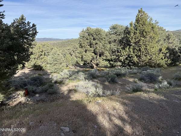 1 Acre of Residential Land for Sale in Reno, Nevada