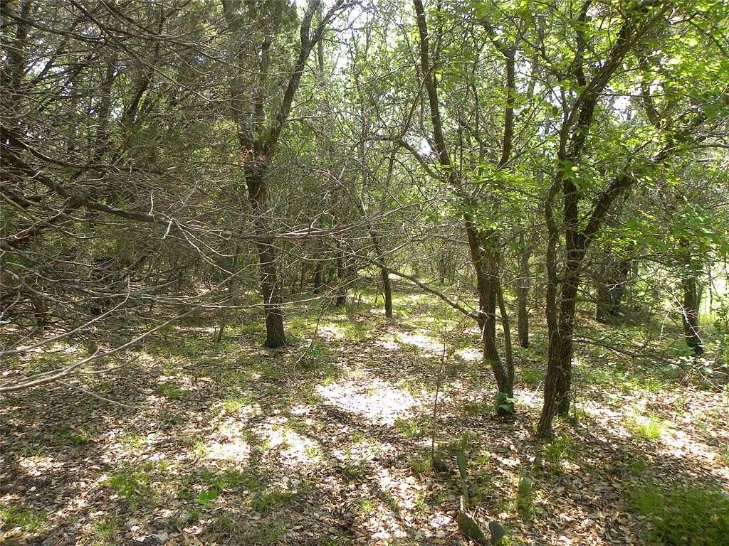 0.33 Acres of Residential Land for Sale in Whitney, Texas