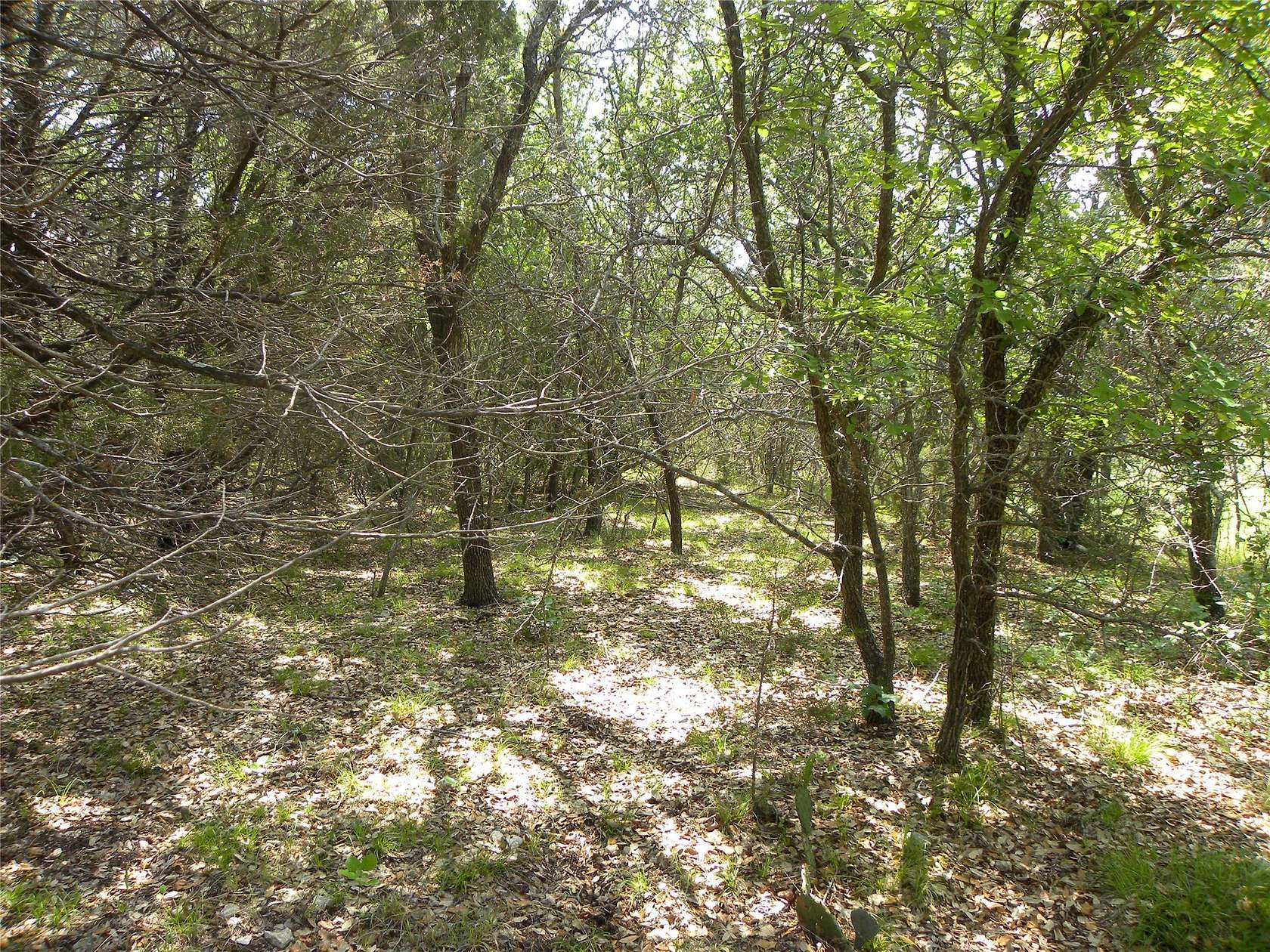 0.33 Acres of Residential Land for Sale in Whitney, Texas